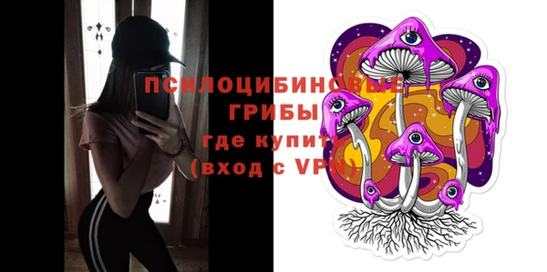 прущая мука Армянск
